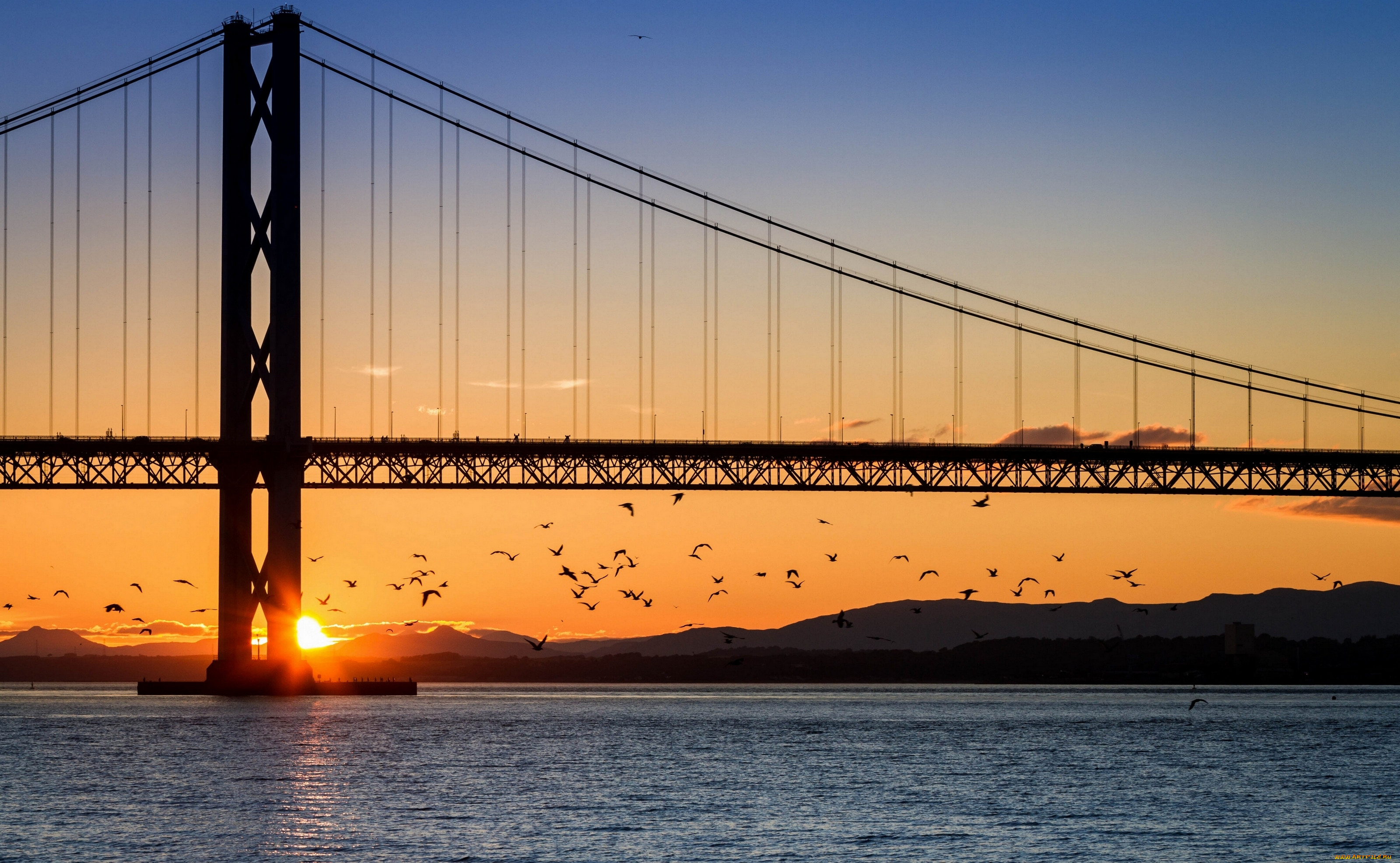 forth, bridge, edinburgh, scotland, , , , , , , , firth, of, -, 